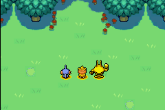 screenshots/Game Boy Advance/Pokemon Mystery Dungeon - Red - Blue - Rescue Team/Pokemon Mystery Dungeon - Red Rescue Team (Eng) 008.png